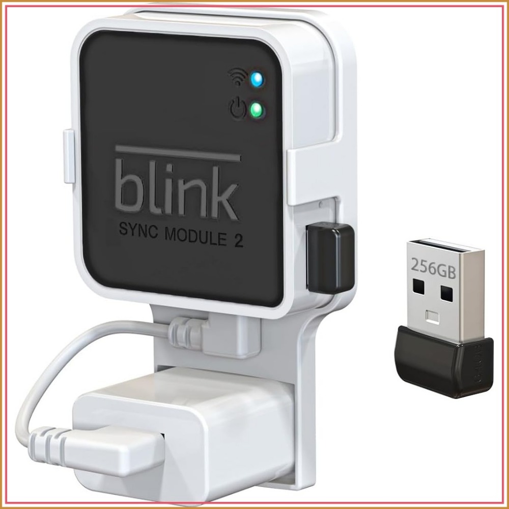 256GB USB Flash Drive with Out - Home Security Images บทวิจารณ์และราคา