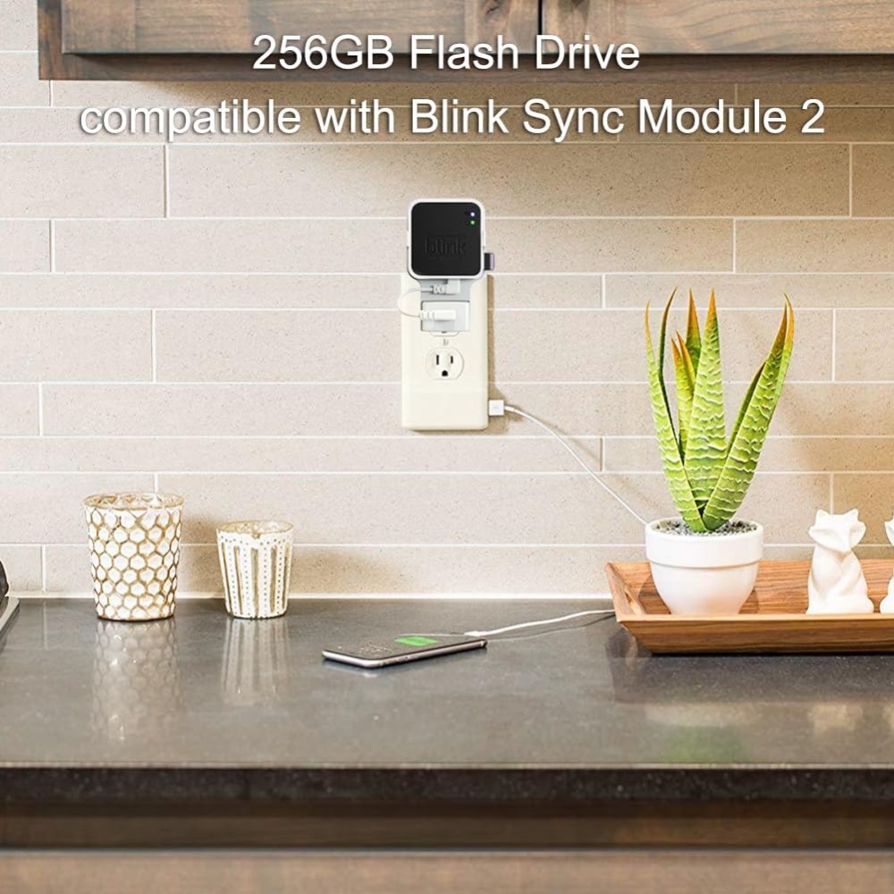 256GB USB Flash Drive with Out - Home Security Images บทวิจารณ์และราคา